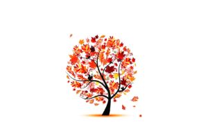 trees, Autumn, Leaves, Artwork, Simple, Background, White, Background