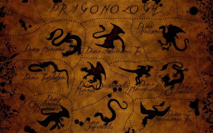 dragons, Texts, Patterns, Textures HD Wallpaper Desktop Background