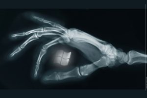 hands, Digital, Art, X ray, Microsoft, Windows, Bones