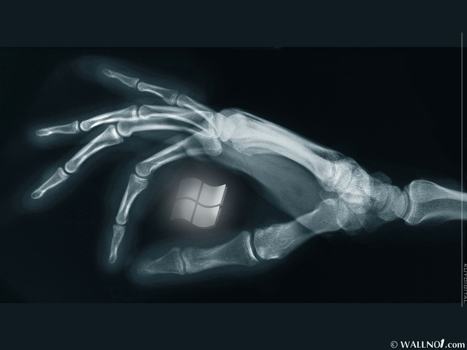 hands, Digital, Art, X ray, Microsoft, Windows, Bones Wallpaper