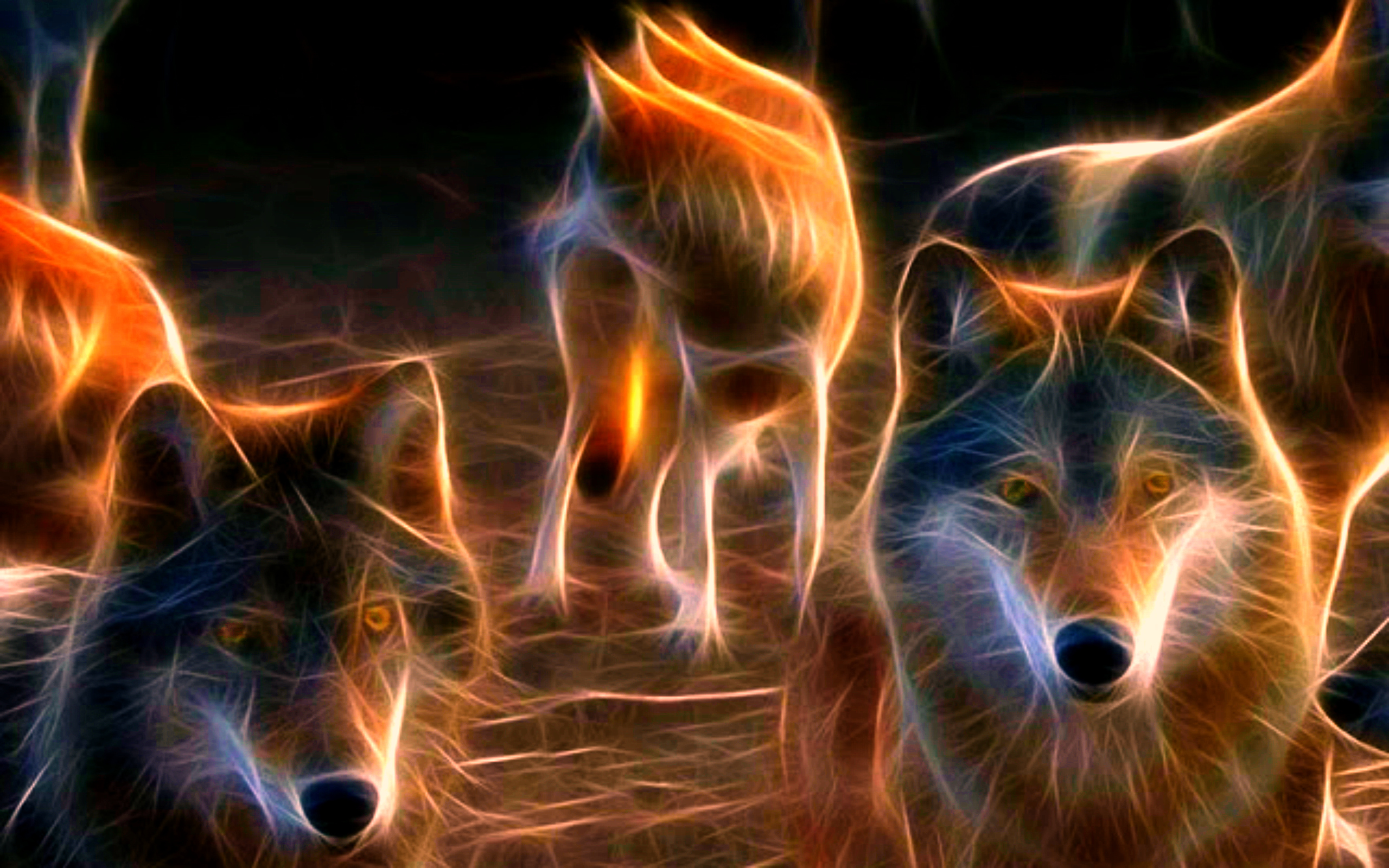 wolf, Wolves, Predator, Fractal Wallpaper