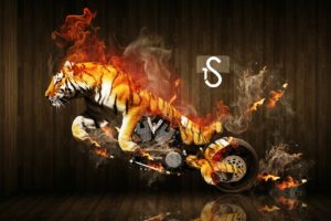 tigers, Motorbikes, Photo, Manipulation