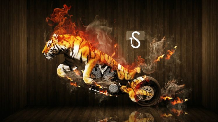 tigers, Motorbikes, Photo, Manipulation HD Wallpaper Desktop Background