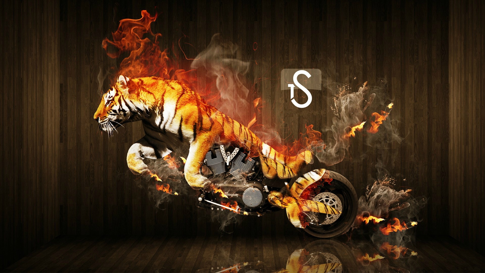 tigers, Motorbikes, Photo, Manipulation Wallpaper