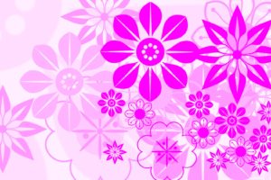 white, Flowers, Pink