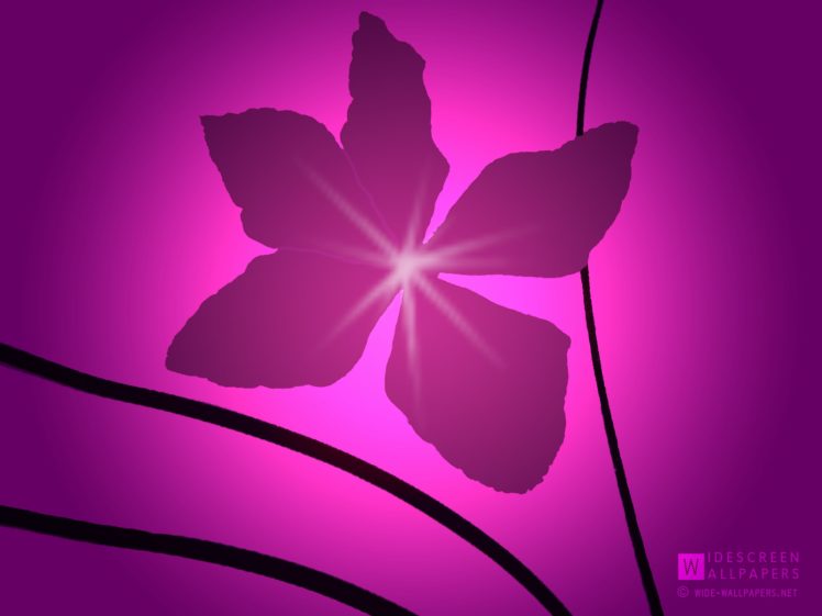 flowers, Design, Clematis HD Wallpaper Desktop Background
