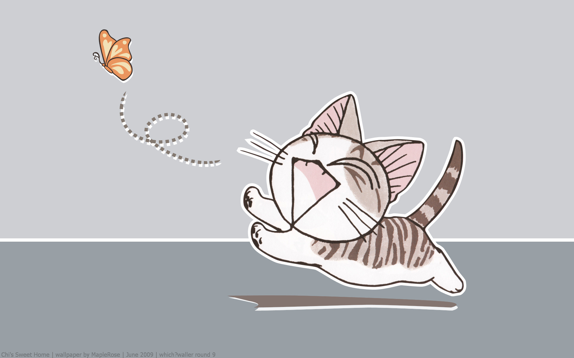 chi, Chiand039s, Sweet, Home, Cats,  drawn Wallpaper