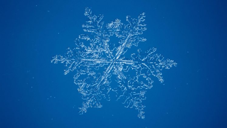 snow, Snowflakes, Microscope HD Wallpaper Desktop Background