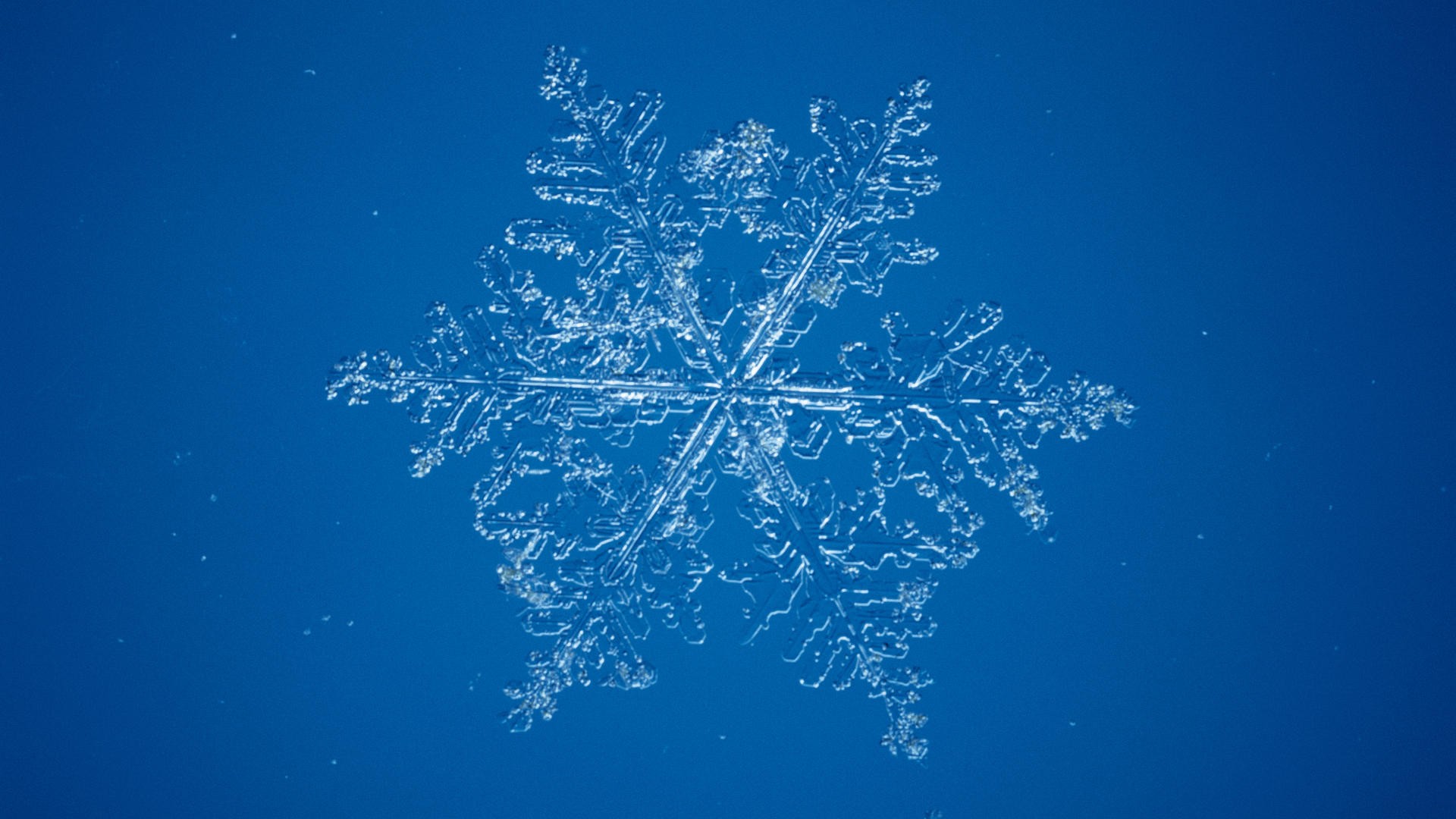 snow, Snowflakes, Microscope Wallpaper