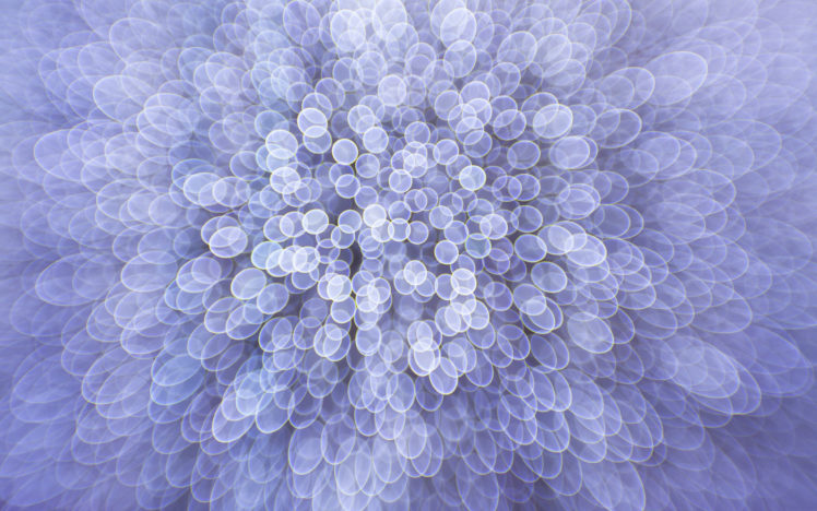 blurred, Circles HD Wallpaper Desktop Background