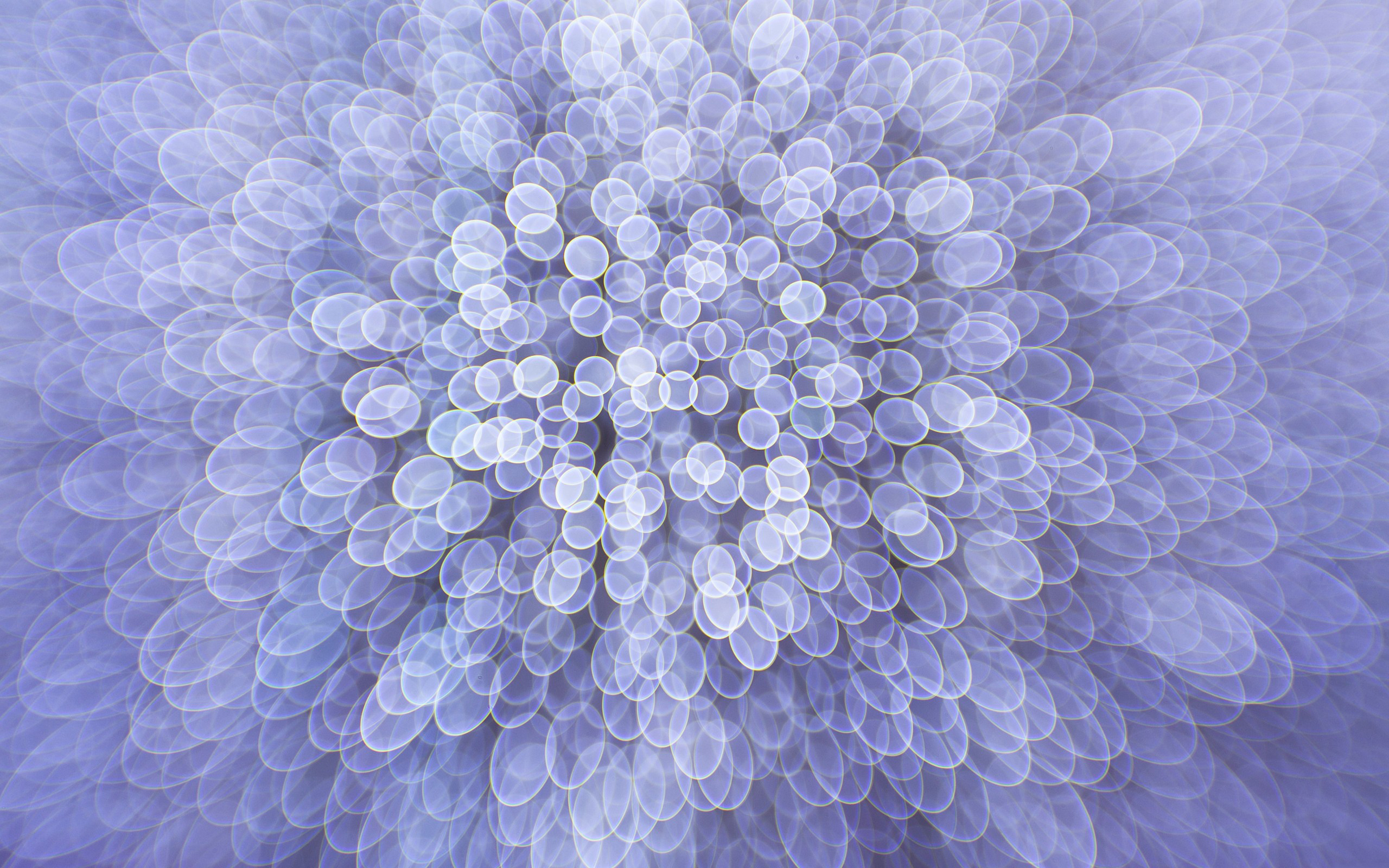 blurred, Circles Wallpaper