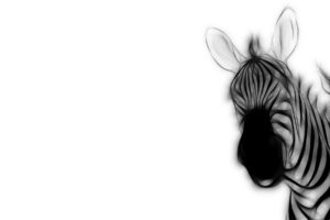 fractalius, Zebras