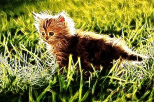 fractalius, Grass, Kittens