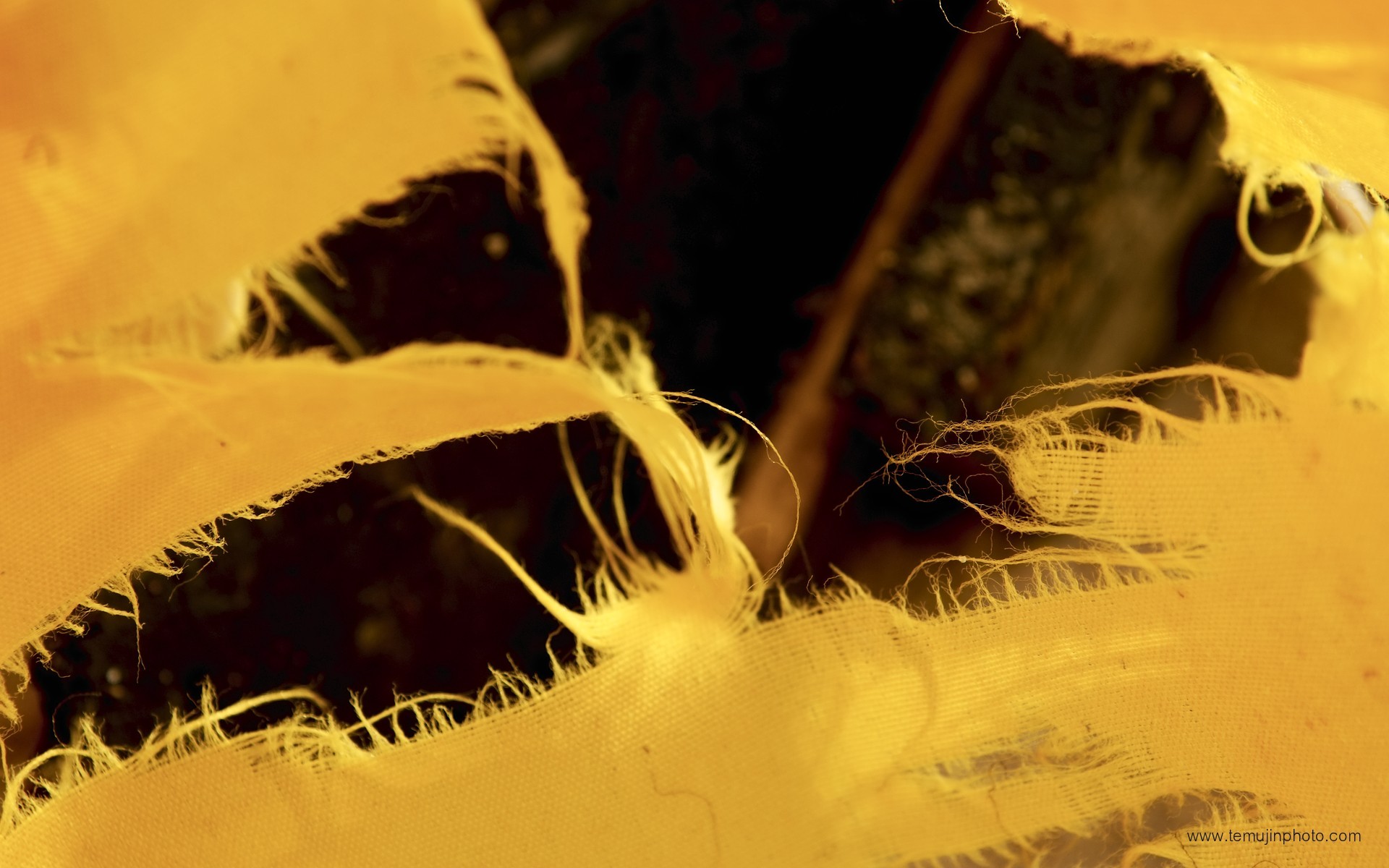 abstract, Yellow, Macro Wallpaper