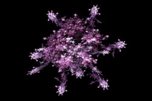 fractals, Purple