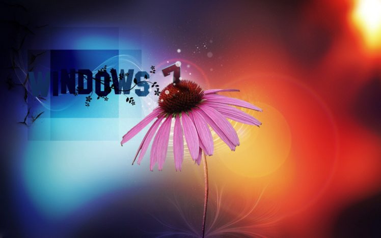 window, Panes HD Wallpaper Desktop Background