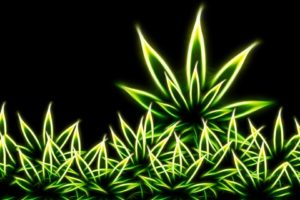 drugs, Grass, Marijuana, Digital, Art, Weeds, Fractal