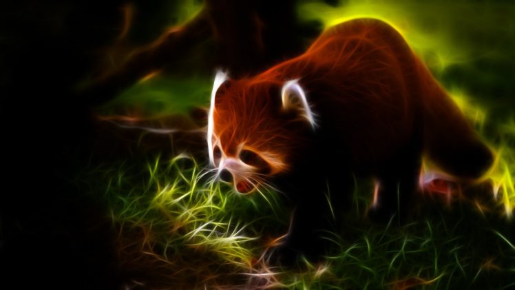 animals, Fractalius, Red, Pandas HD Wallpaper Desktop Background
