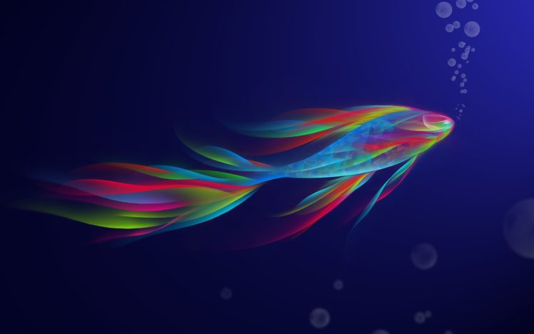 rainbow, Fish HD Wallpaper Desktop Background