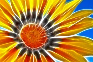 fractalius, Sunflowers