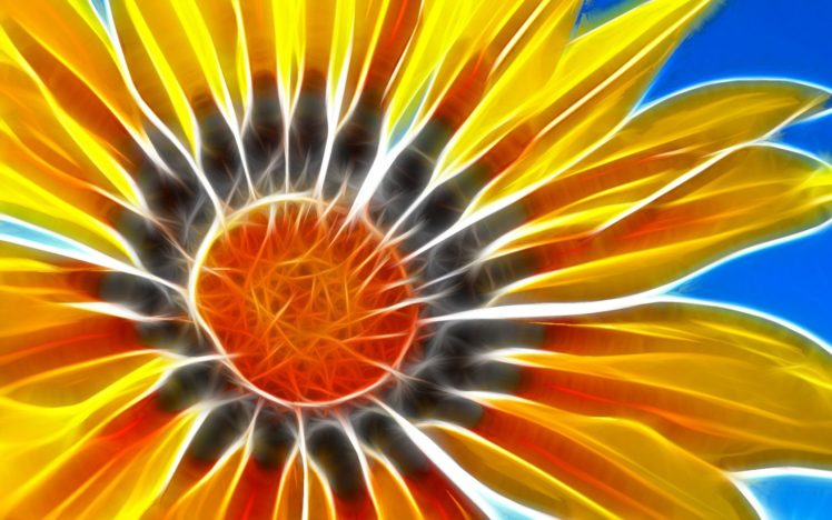 fractalius, Sunflowers HD Wallpaper Desktop Background