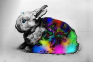 bunnies, Blanket, Colors