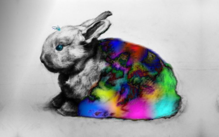 bunnies, Blanket, Colors HD Wallpaper Desktop Background