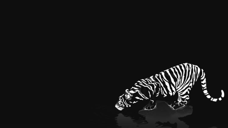 cats, Animals, Tigers, White, Tiger, Reflections, Black, Background HD Wallpaper Desktop Background