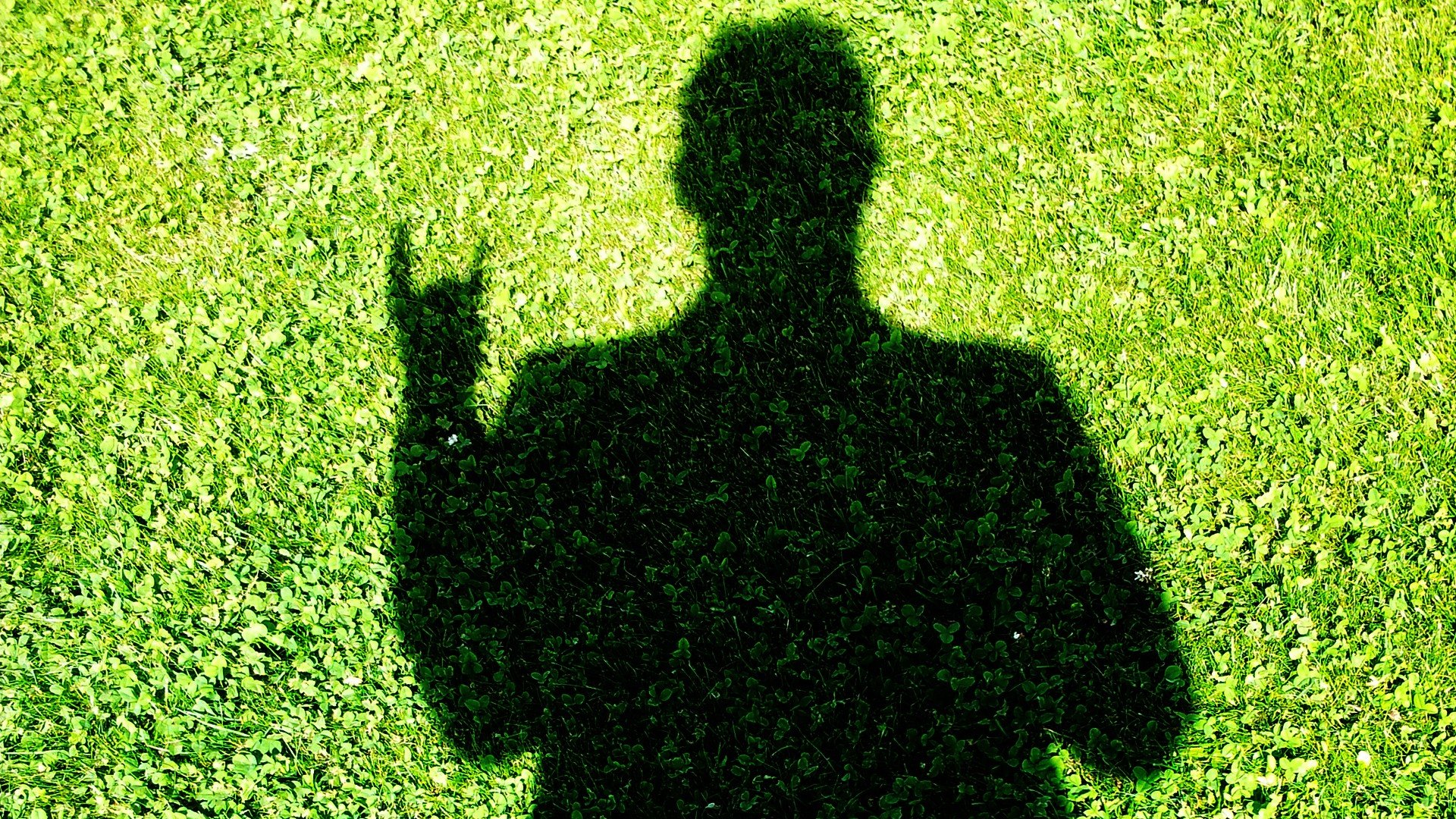 grass Wallpaper