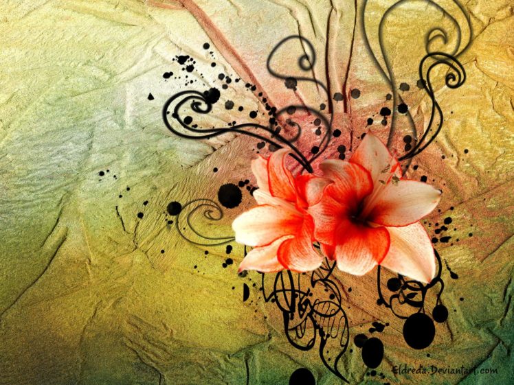 flowers, Floral HD Wallpaper Desktop Background