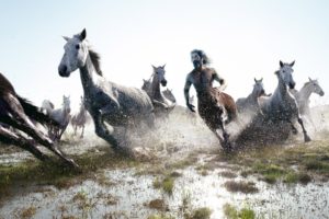 horses, Centaur, Running