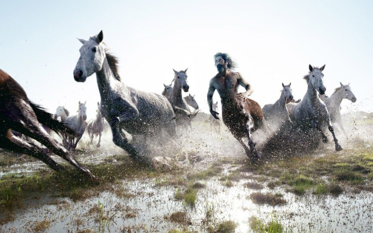 horses, Centaur, Running HD Wallpaper Desktop Background