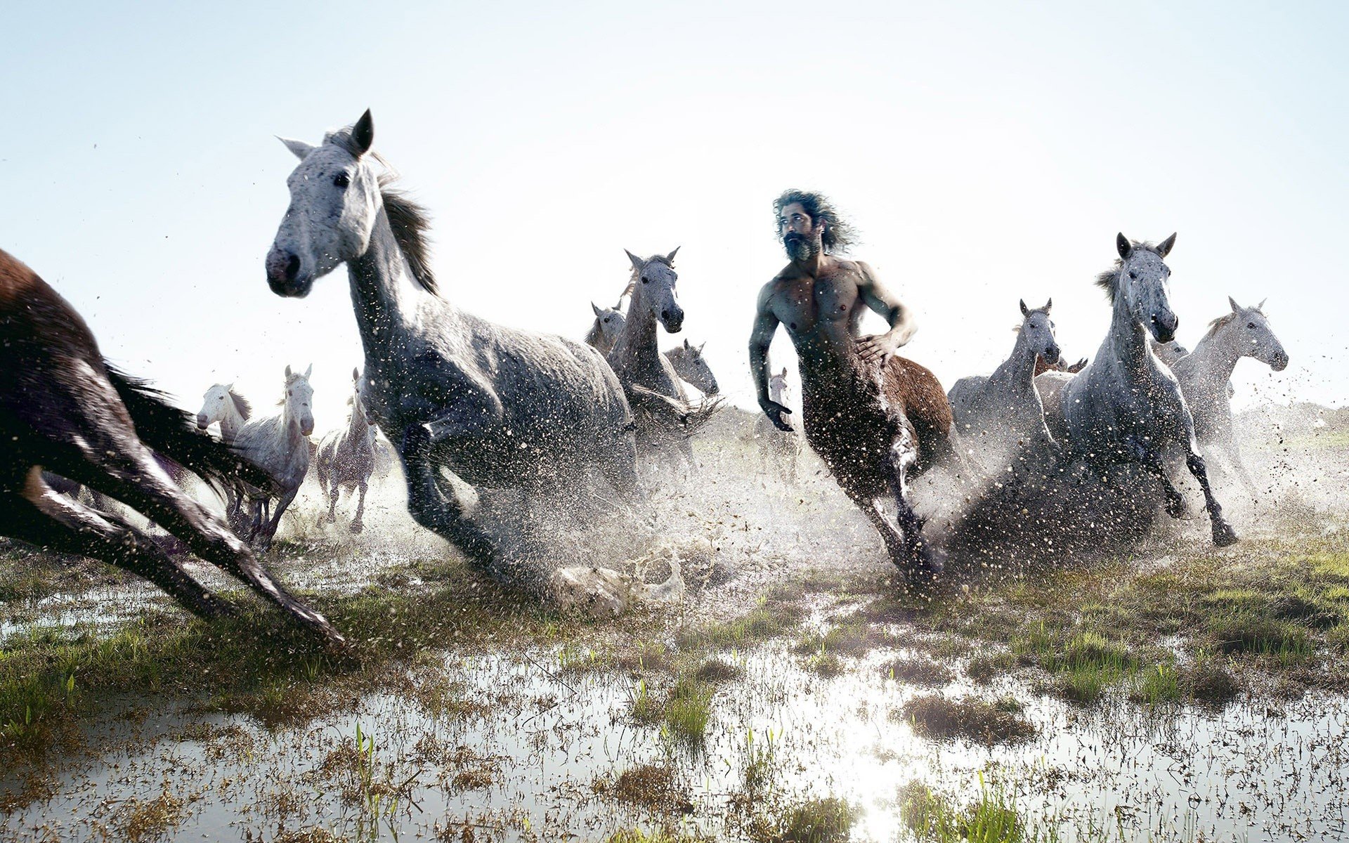 horses, Centaur, Running Wallpaper