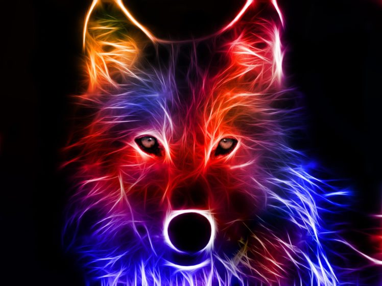 fractalius, Wolves HD Wallpaper Desktop Background