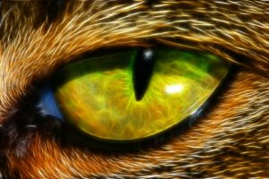 eyes, Animals, Fractalius