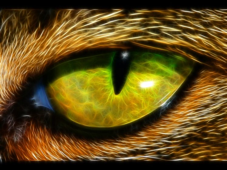 eyes, Animals, Fractalius HD Wallpaper Desktop Background