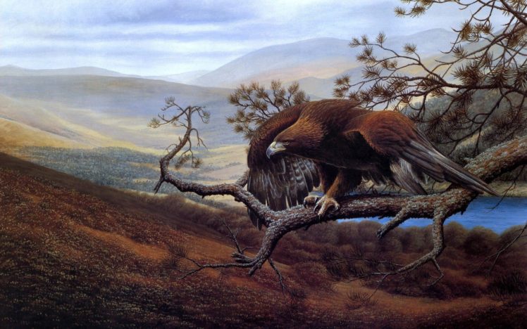 landscapes, Birds, Wildlife, Eagles, Artwork, David, J, Lawrence HD Wallpaper Desktop Background