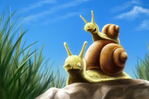 snails, Artwork
