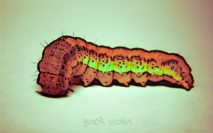 abstract, Bookworm, Artwork, Caterpillar HD Wallpaper Desktop Background
