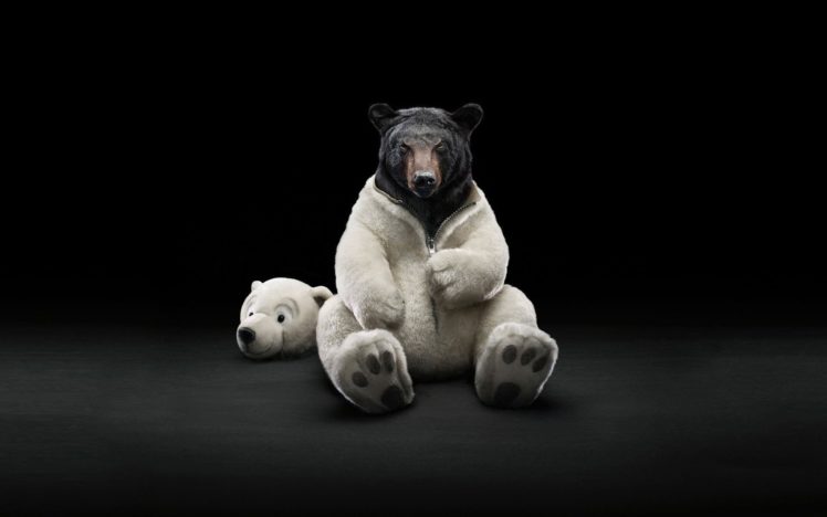 costume, Bears, Polar, Bears, Black, Bear HD Wallpaper Desktop Background