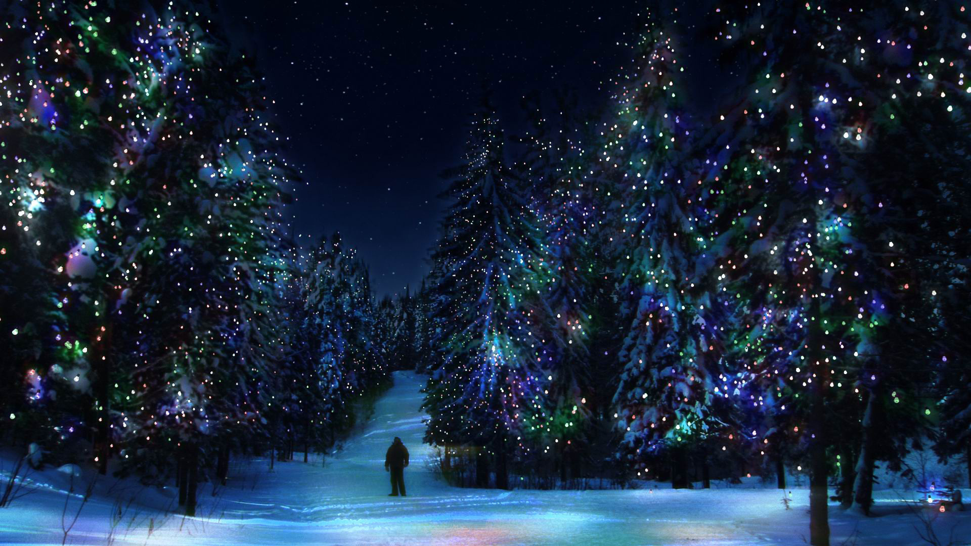 new, Year, Decorations, Sparkle, Shine, Lights, Trees, Color, Forest