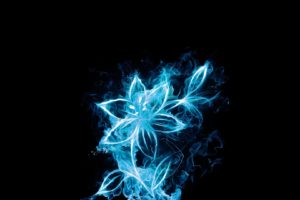 blue, Flowers, Glow, Fire, Flower