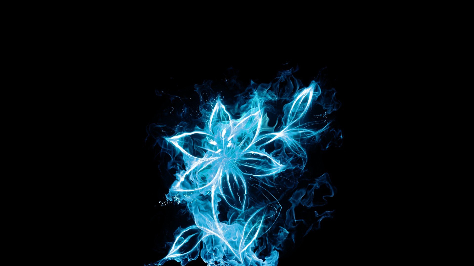 blue, Flowers, Glow, Fire, Flower Wallpaper