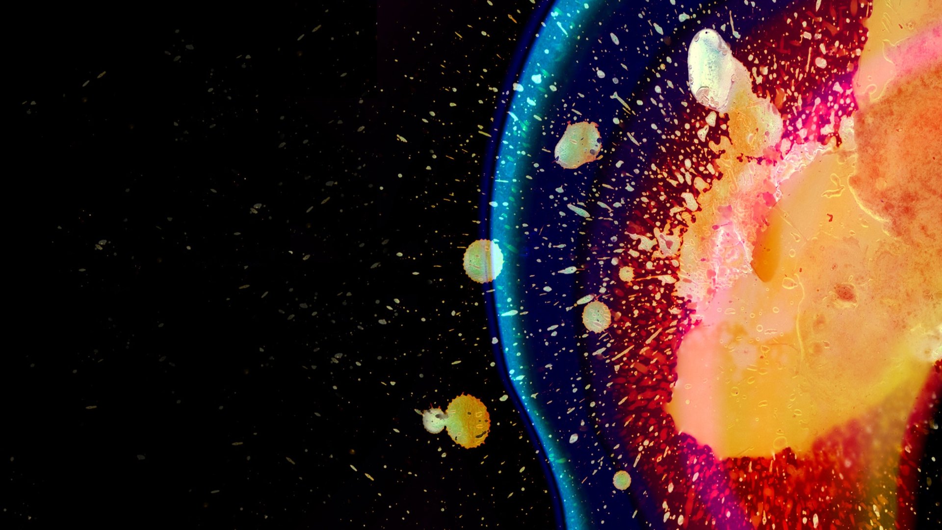 multicolor Wallpaper