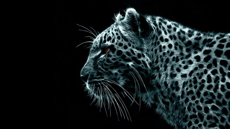 black, White, Digital, Leopards HD Wallpaper Desktop Background