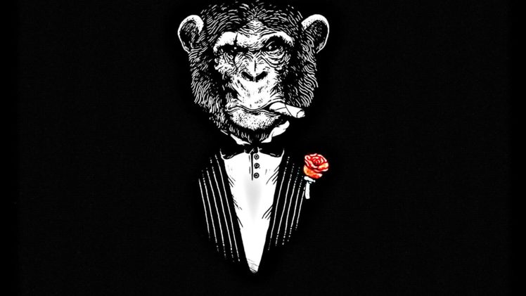 animals, Monkeys, Black, Background HD Wallpaper Desktop Background