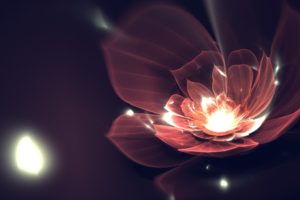 abstract, Dark, Flowers, Particles