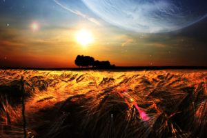 nature, Fields, Wheat, Photo, Manipulation