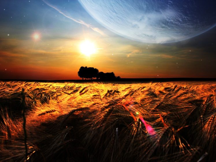 nature, Fields, Wheat, Photo, Manipulation HD Wallpaper Desktop Background