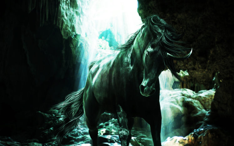 fantasy, Unicorn HD Wallpaper Desktop Background